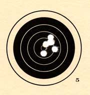 Whisper target with Crosman Destroyer pellets