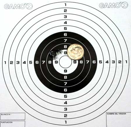 Beeman Kodiak target