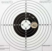 Crosman Premier target