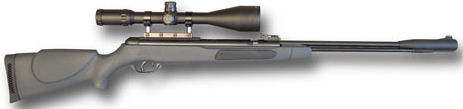 gamo cfx air rifle