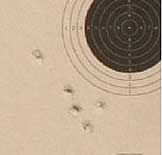 crosman premier pellet target group 5