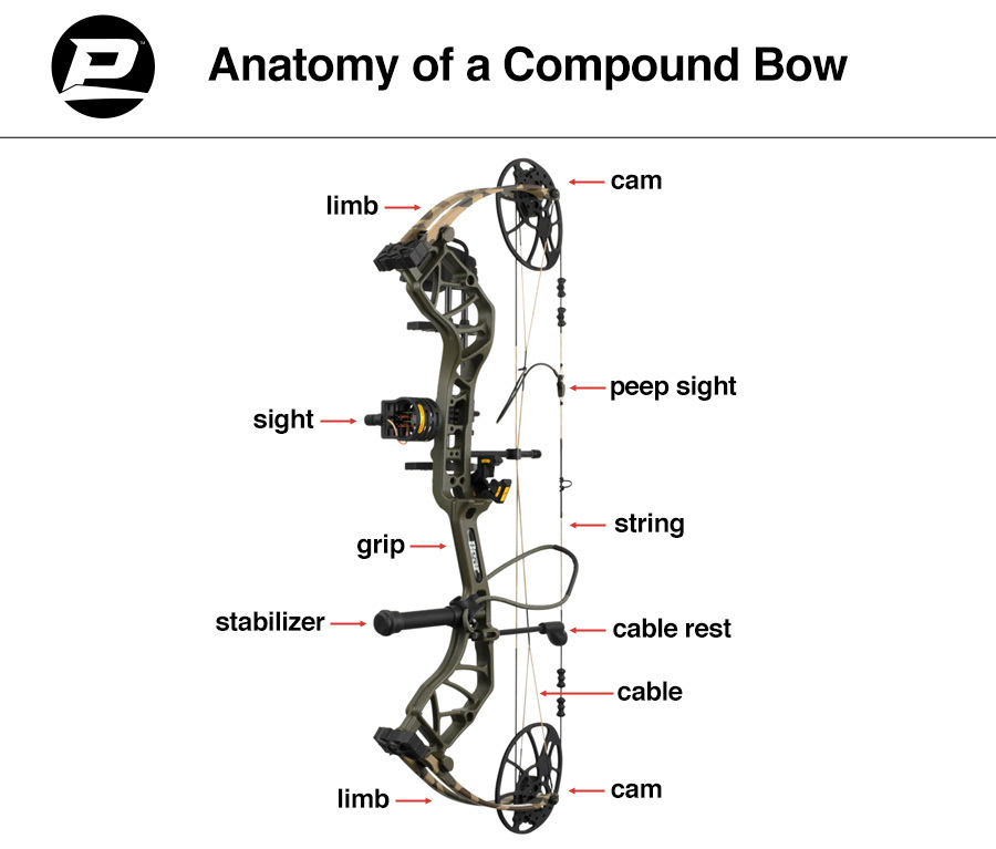 Anatomy of a compound bow, marking parts with arrows
