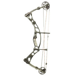 Compound Bow