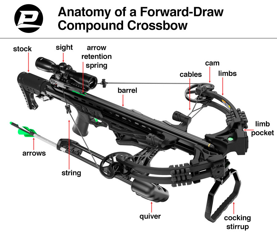 Anatomy of a Forward Draw Crossbow