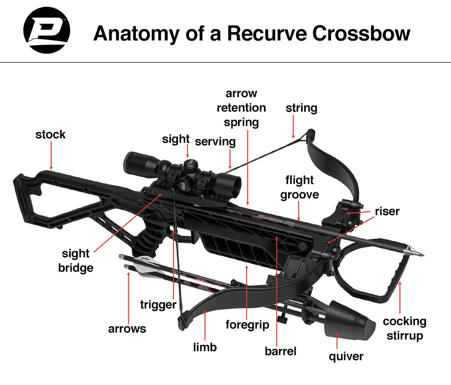 Anatomy of a Recurve Crossbows