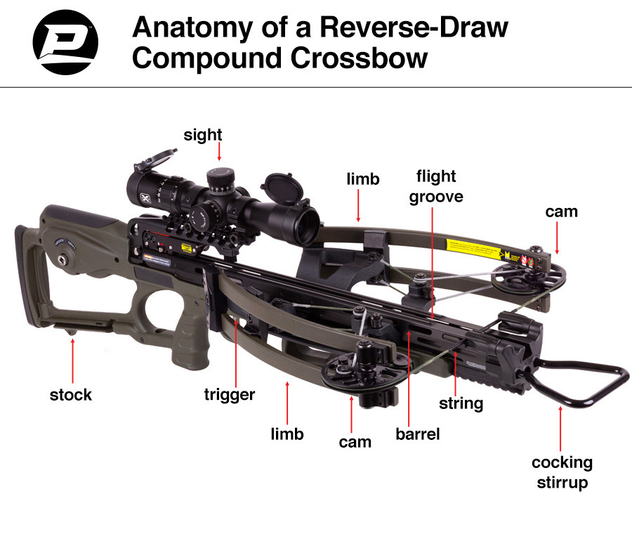Anatomy of a Reverse Draw Crossbow