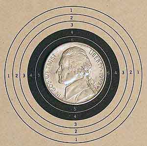 nickel target for airgun hunting