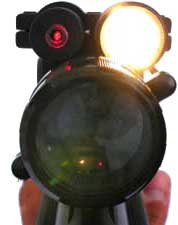 Varmint Hunter flashlight & laser really light up your target