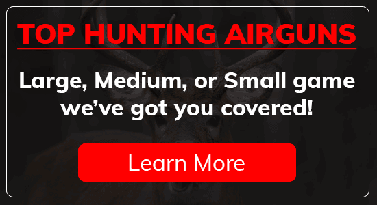 Top Hunting Airguns