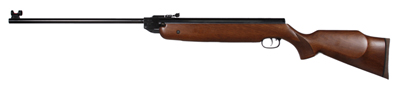 Beeman HW80 Air, Image 1