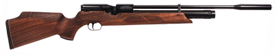 Beeman HW 100S, Image 1