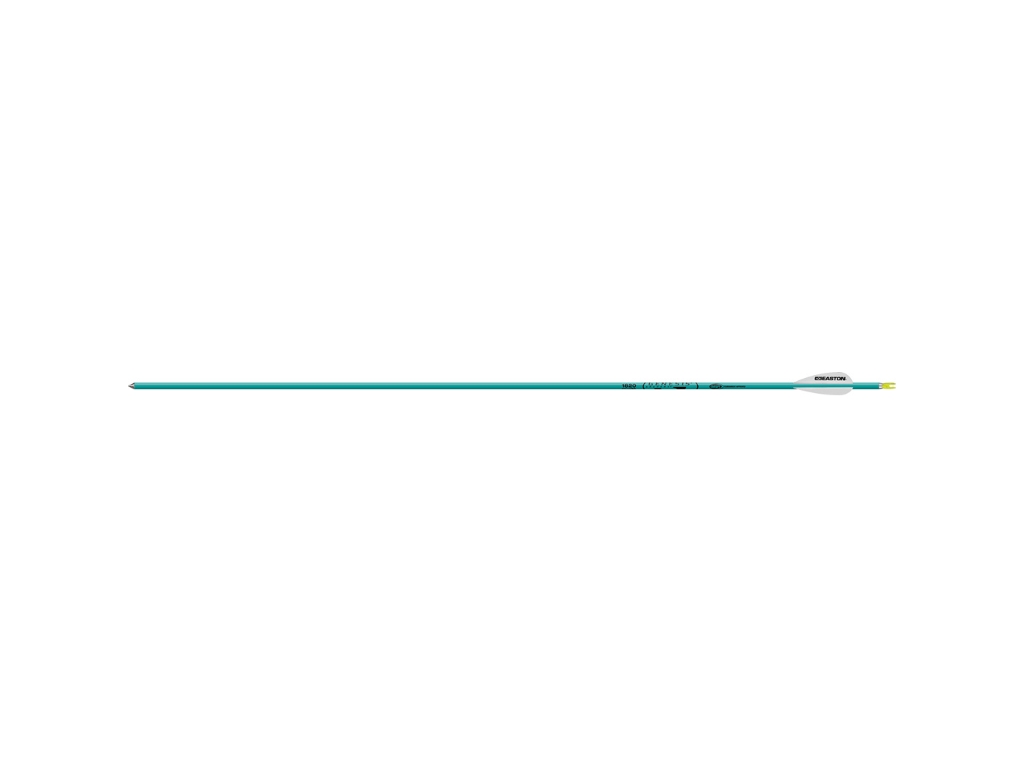 Easton Genesis Arrows 3 in. Vane Teal, Realtree AP HD, 36 count