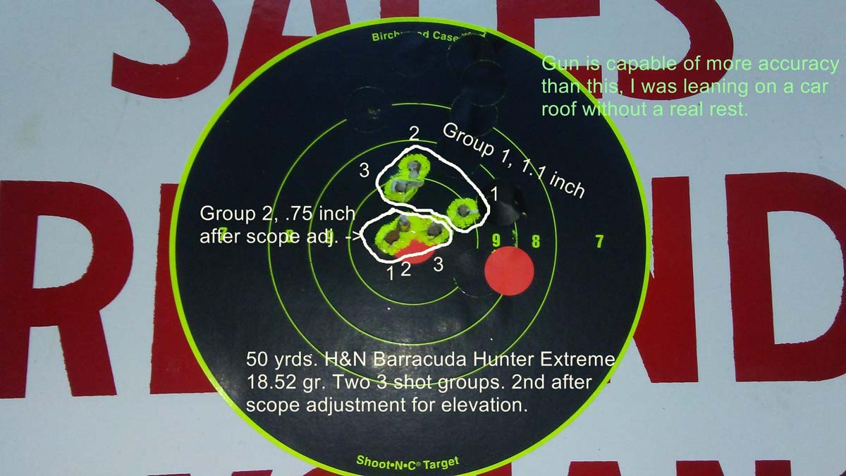 H&N Baracuda Hunter Extreme Pellets, .22 Cal, 18.52 Grains