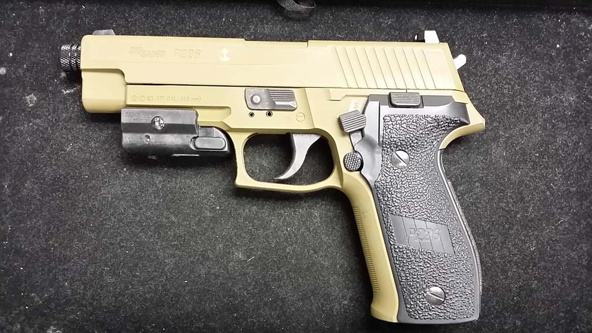 Customer images for SIG Sauer | Pyramyd AIR