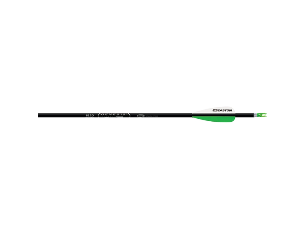 Easton Genesis Arrows, Image 1