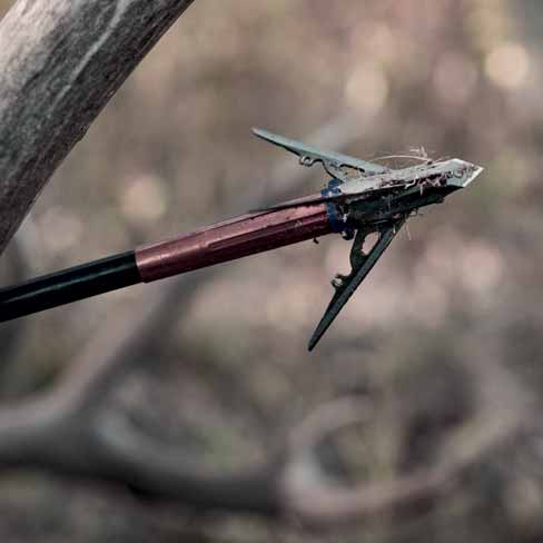 Broadheads