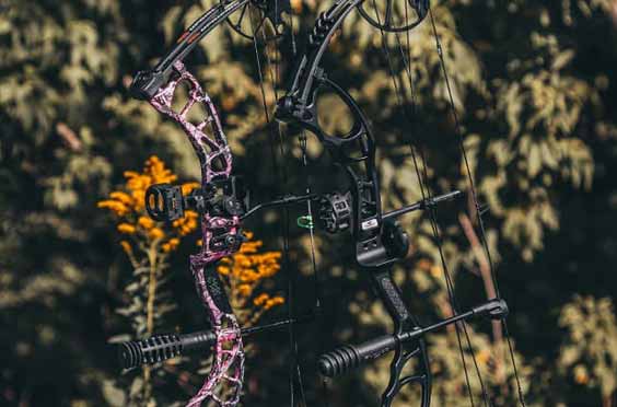 Beginner Guide to Buying a Bow