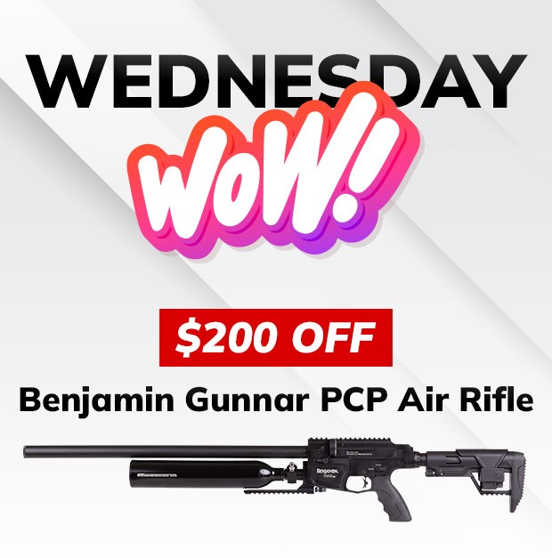 PCP Air Gun, Benjamin Gunnar Air Rifle