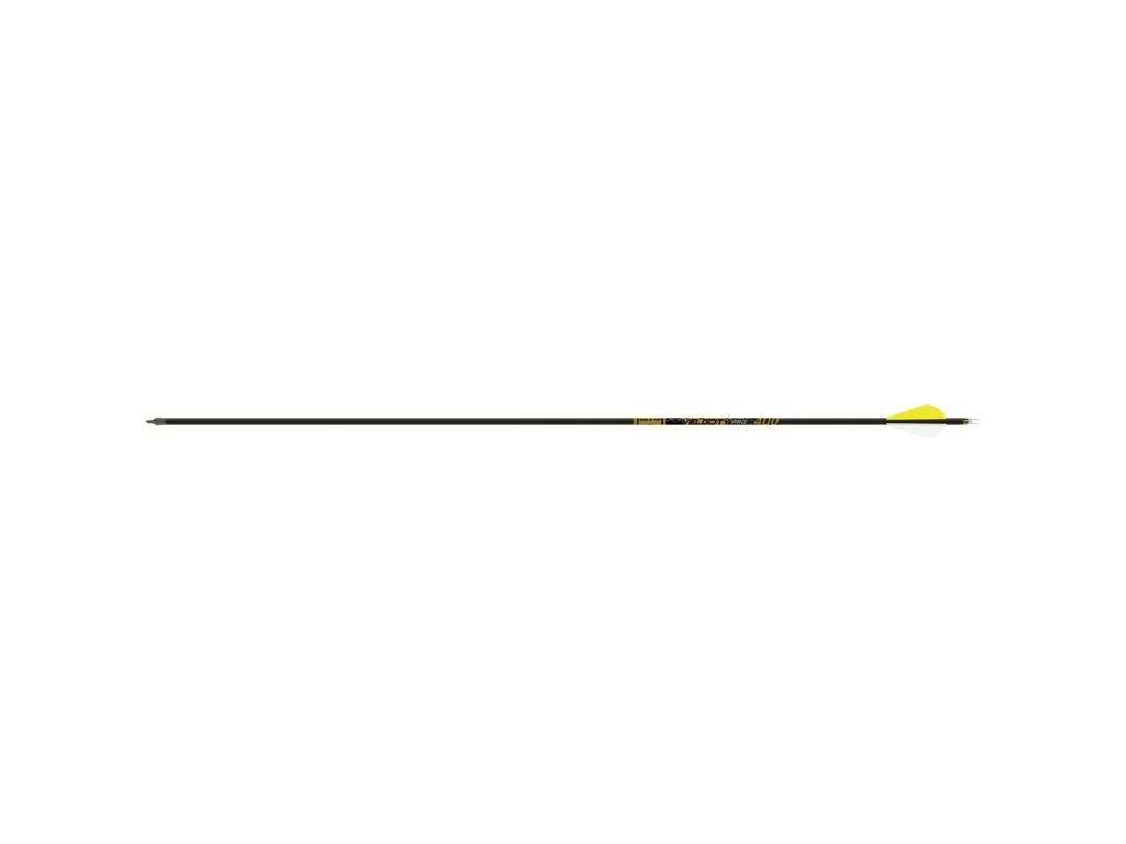 Gold Tip Velocity, Image 1