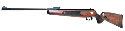 GS1000 Air Rifle - 1038