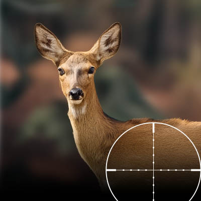 Ravin R18 takes deer with ease deer behind crosshairs