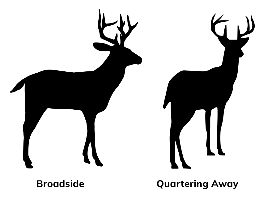 Pyramyd AIR Crossbow Hunting Game Position