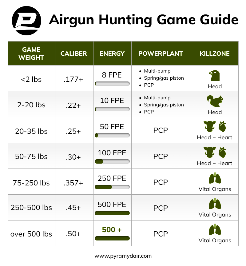 Pyramyd AIR Game Guide