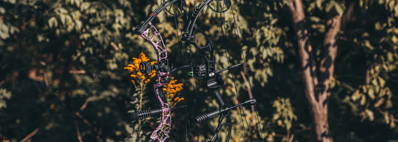 Beginner Guide to Buying a Bow