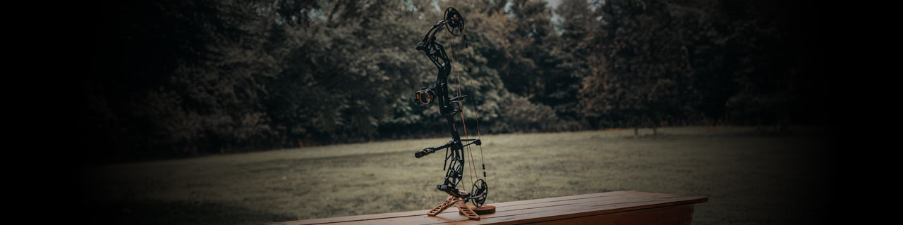 Archery Sale: 20% OFF
