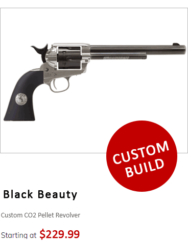 Black Beauty - Custom CO2 Pellet Revolver