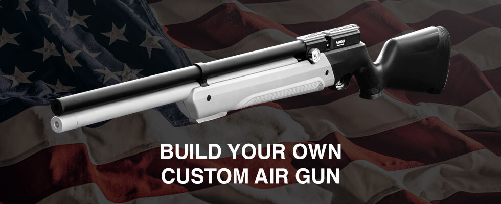 Build a Custom Gun
