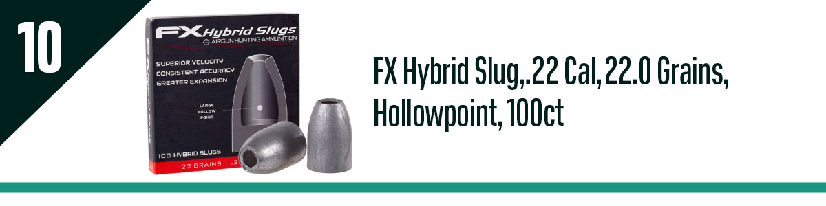 FX Hybrid Slug, .22 Cal, 22.0 Grains, Hollowpoint, 100ct