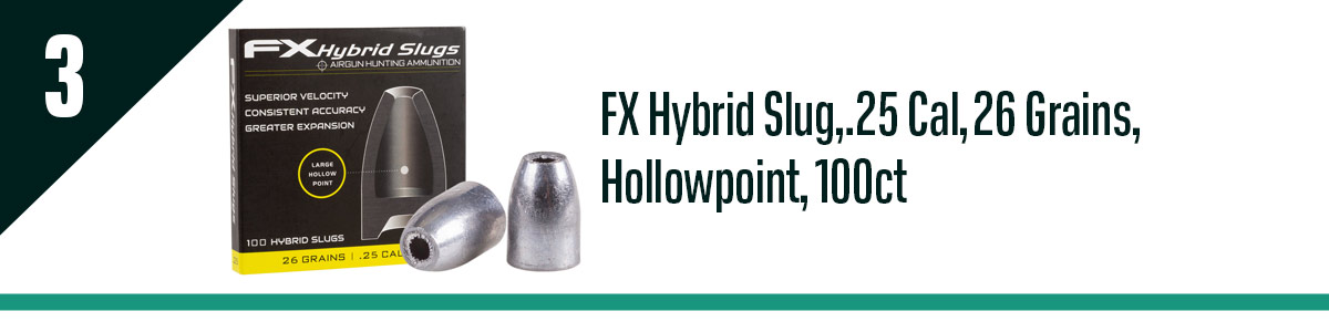 FX Hybrid Slug, .25 Cal, 26 Grains, Hollowpoint, 100ct