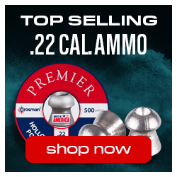 Top .22 Cal Ammo