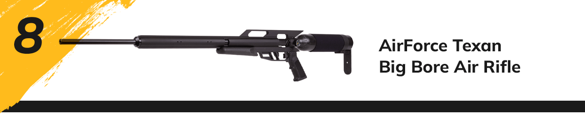 AirForce Texan Big Bore Air Rifle