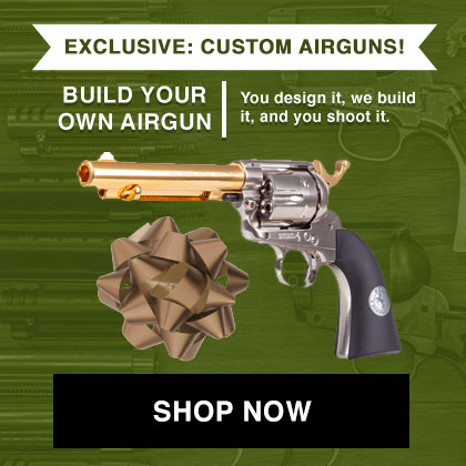 Build Your Own Airgun