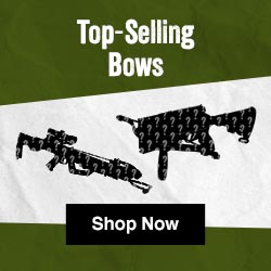 Top Selling Bows