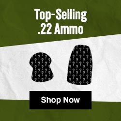 Top .22 Cal Ammo