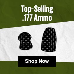 Top .177 Cal Ammo