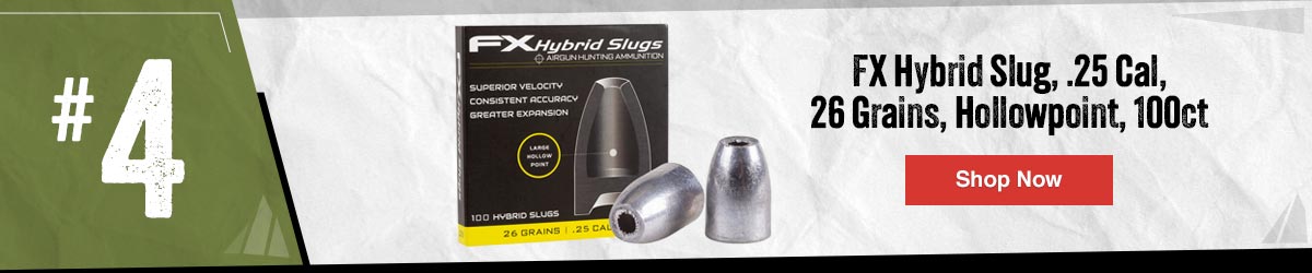 FX Hybrid Slug, .25 Cal, 26 Grains, Hollowpoint