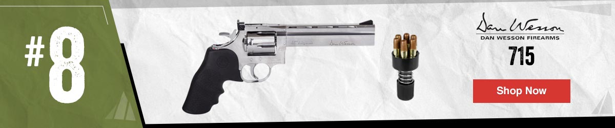 Dan Wesson 715 6in CO2 BB Revolver