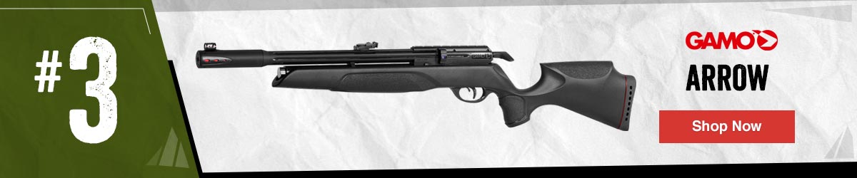 Gamo Arrow Multi-Shot PCP Air Rifle