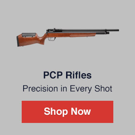 PCP Rifles