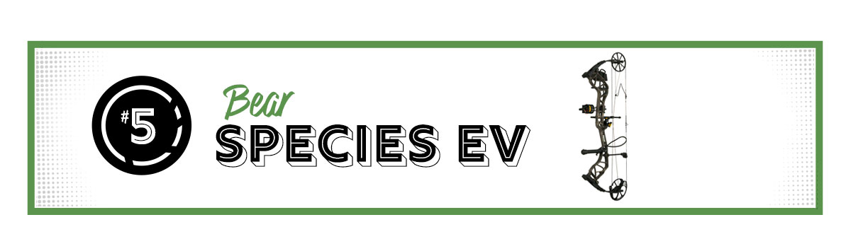 Bear Species EV