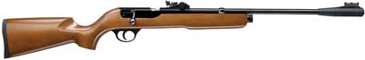 Ruger LGR Air Rifle