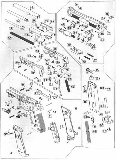 model schematic