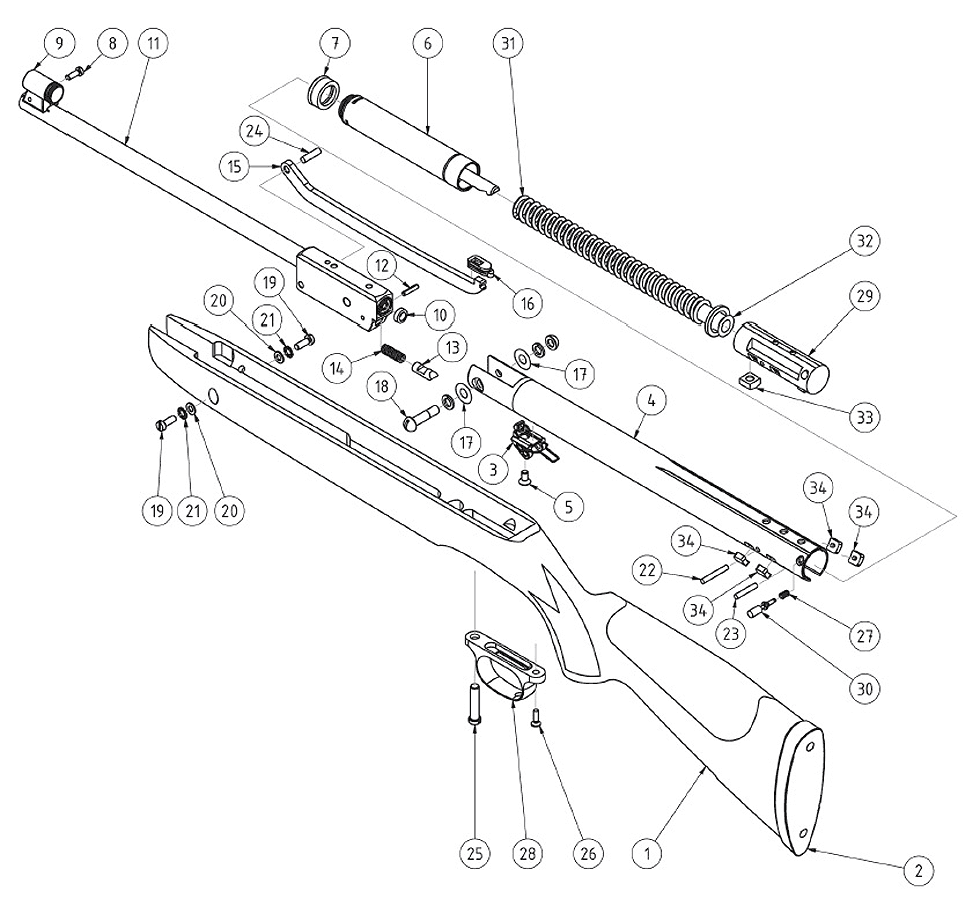 model schematic