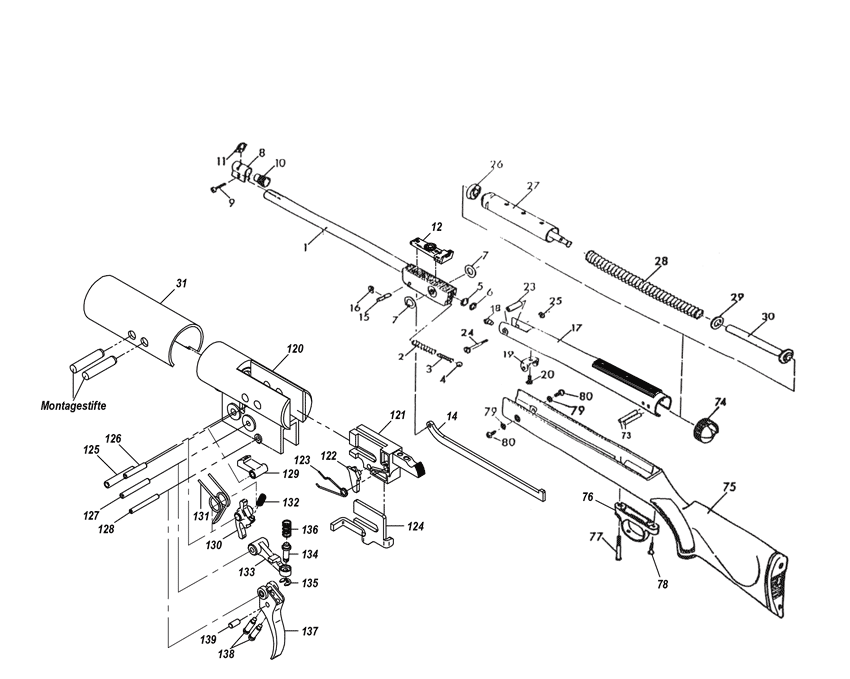 model schematic