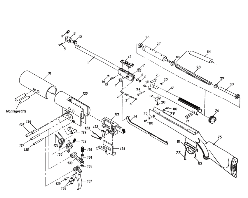 model schematic