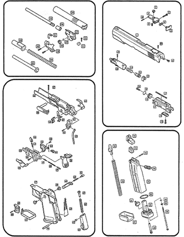 model schematic